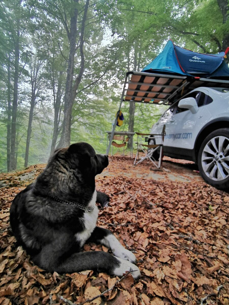 Střešní plošina pro stan CampUp - Karma 50.130